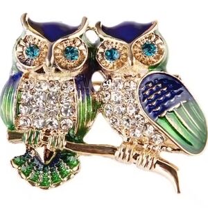 Charming Blue and Green Owl Brooch